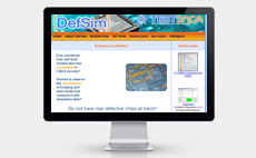 DefSim